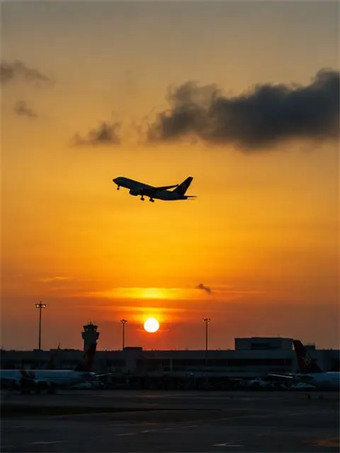 Travellers queue at airport departures at dusk.