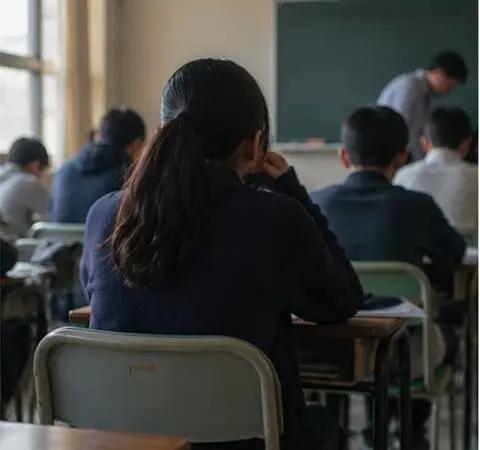Pupils seen from the back of a classroom during a lesson.